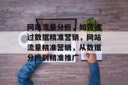 网站流量分析,如何通过数据精准营销,网站流量精准营销,从数据分析到精准推广 网站流量分析,如何通过数据精准营销,网站流量精准营销,从数据分析到精准推广