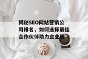 揭秘SEO网站营销公司排名,如何选择最佳合作伙伴助力企业腾飞 揭秘SEO网站营销公司排名,如何选择最佳合作伙伴助力企业腾飞