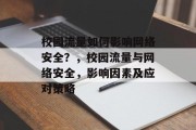 校园流量如何影响网络安全？，校园流量与网络安全，影响因素及应对策略