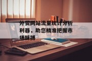 外贸网站流量统计分析利器，助您精准把握市场脉搏