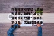 挖掘搜索引擎优化的秘密武器,如何在减少流量时提升效果?搜索引擎优化,流量的隐藏秘密武器