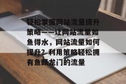 轻松掌握网站流量提升策略——让网站流量如鱼得水，网站流量如何提升？利用策略轻松拥有鱼跃龙门的流量