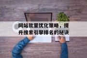 网站批量优化策略，提升搜索引擎排名的秘诀