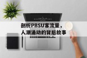 剖析PBSU客流量,人潮涌动的背后故事 剖析PBSU客流量,人潮涌动的背后故事