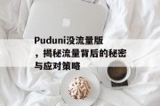 Puduni没流量版,揭秘流量背后的秘密与应对策略 Puduni没流量版,揭秘流量背后的秘密与应对策略