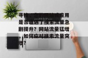 寻找,您的网站或应用是否遭遇了搜索流量急剧提升?网站流量猛增,如何应对搜索流量突增?