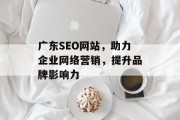 广东SEO网站,助力企业网络营销,提升品牌影响力 广东SEO网站,助力企业网络营销,提升品牌影响力