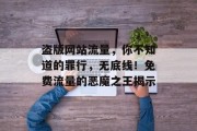 盗版网站流量,你不知道的罪行,无底线!免费流量的恶魔之王揭示 盗版网站流量,你不知道的罪行,无底线!免费流量的恶魔之王揭示