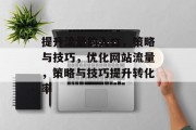 提升流量的入口，策略与技巧，优化网站流量，策略与技巧提升转化率
