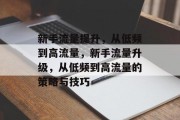 新手流量提升,从低频到高流量,新手流量升级,从低频到高流量的策略与技巧 新手流量提升,从低频到高流量,新手流量升级,从低频到高流量的策略与技巧