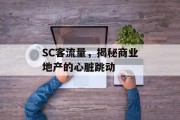 SC客流量,揭秘商业地产的心脏跳动 SC客流量,揭秘商业地产的心脏跳动