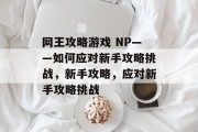 网王攻略游戏 NP——如何应对新手攻略挑战，新手攻略，应对新手攻略挑战