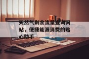 天然气剩余流量查询网站，便捷能源消费的贴心助手