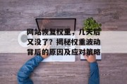 网站恢复权重，几天后又没了？揭秘权重波动背后的原因及应对策略