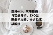 遇见exo，攻略指南与实战分析，EXO出道必学攻略，全方位实战解析