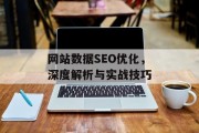 网站数据SEO优化,深度解析与实战技巧 网站数据SEO优化,深度解析与实战技巧