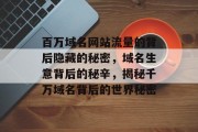 百万域名网站流量的背后隐藏的秘密,域名生意背后的秘辛,揭秘千万域名背后的世界秘密 百万域名网站流量的背后隐藏的秘密,域名生意背后的秘辛,揭秘千万域名背后的世界秘密