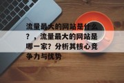 流量最大的网站是什么？，流量最大的网站是哪一家？分析其核心竞争力与优势