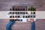小黑通关攻略，全面解析游戏胜利秘诀，小黑通关攻略，全面解析游戏胜利秘诀