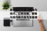 提升百万流量,策略与技巧,亿粉攻略,策略与技巧助力百万流量提升 提升百万流量,策略与技巧,亿粉攻略,策略与技巧助力百万流量提升