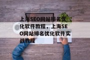 上海SEO网站排名优化软件教程,上海SEO网站排名优化软件实战教程 上海SEO网站排名优化软件教程,上海SEO网站排名优化软件实战教程