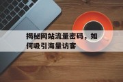 揭秘网站流量密码，如何吸引海量访客
