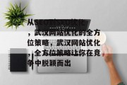从SEO到SEO优化,武汉网站优化的全方位策略,武汉网站优化,全方位策略让你在竞争中脱颖而出