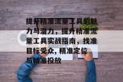 提升精准流量工具的魅力与潜力,提升精准流量工具实战指南,找准目标受众, 精准定位与精准投放