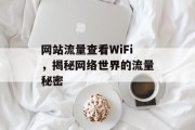 网站流量查看WiFi,揭秘网络世界的流量秘密 网站流量查看WiFi,揭秘网络世界的流量秘密