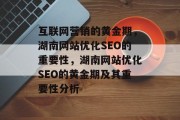 互联网营销的黄金期,湖南网站优化SEO的重要性,湖南网站优化SEO的黄金期及其重要性分析