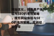 网站优化，提高用户体验与SEO的有效策略，提升网站体验与SEO的有效策略，实战经验分享