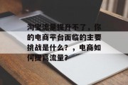 淘宝流量提升不了，你的电商平台面临的主要挑战是什么？，电商如何提高流量？