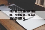 提升自己流量的关键策略,引流攻略,提高流量的关键策略,