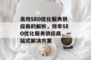 高效SEO优化服务供应商的解析,效率SEO优化服务供应商,一站式解决方案 高效SEO优化服务供应商的解析,效率SEO优化服务供应商,一站式解决方案