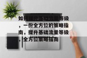 如何提升基础流量等级,一份全方位的策略指南,提升基础流量等级,全方位策略指南