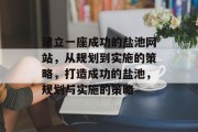建立一座成功的盐池网站,从规划到实施的策略,打造成功的盐池,规划与实施的策略