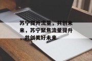 苏宁提升流量,共创未来,苏宁聚焦流量提升,共创美好未来