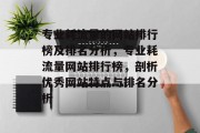 专业耗流量的网站排行榜及排名分析，专业耗流量网站排行榜，剖析优秀网站特点与排名分析