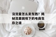 没流量怎么卖东西?揭秘流量困境下的电商生存之道 没流量怎么卖东西?揭秘流量困境下的电商生存之道