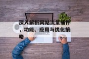 深入解析网站流量插件,功能、应用与优化策略 深入解析网站流量插件,功能、应用与优化策略