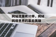 网站流量统计师,揭秘网络世界的幕后英雄 网站流量统计师,揭秘网络世界的幕后英雄
