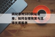 揭秘泰州SEO网站费用,如何合理预算与选择优质服务 揭秘泰州SEO网站费用,如何合理预算与选择优质服务