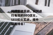 网络营销实战,如何进行有效的SEO优化,SEO优化实战,提升网站排名! 网络营销实战,如何进行有效的SEO优化,SEO优化实战,提升网站排名!