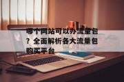哪个网站可以办流量包?全面解析各大流量包购买平台 哪个网站可以办流量包?全面解析各大流量包购买平台