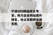 宁波SEO网站优化专家，助力企业网站提升排名，抢占互联网市场先机