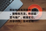 粉丝如何有效提升流量，策略和方法，粉丝运营与推广，精准定位、内容创作、互动营销