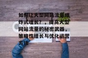 如何让大型网站流量爆炸式增长？，提高大型网站流量的秘密武器，策略性增长与优化运营方法