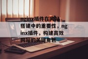nginx插件在网站搭建中的重要性，nginx插件，构建高效网站的关键角色