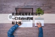 云南网站排名新标杆——C3Sales的崛起之路