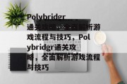 Polybridgr通关攻略,全面解析游戏流程与技巧,Polybridgr通关攻略,全面解析游戏流程与技巧 Polybridgr通关攻略,全面解析游戏流程与技巧,Polybridgr通关攻略,全面解析游戏流程与技巧